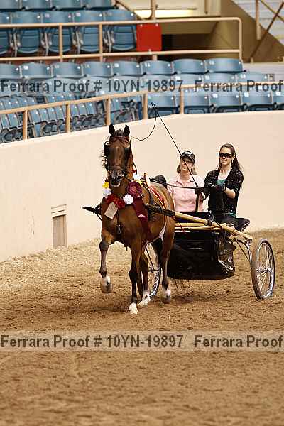 Proof 10yn-19897