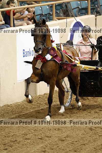 Proof 10yn-19898
