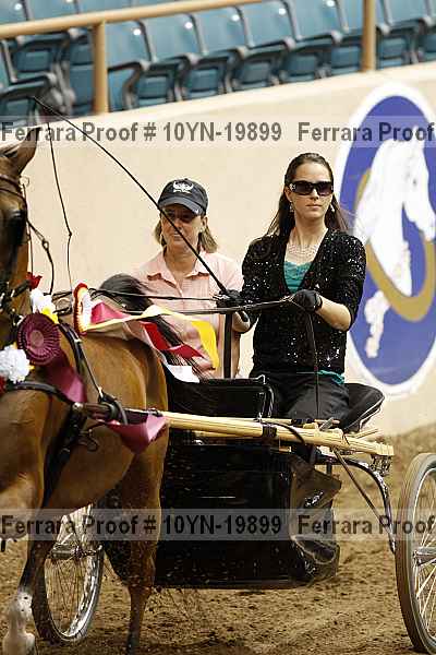 Proof 10yn-19899