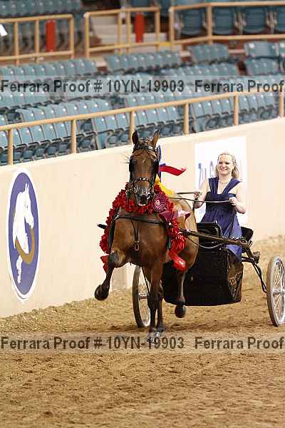 Proof 10yn-19903