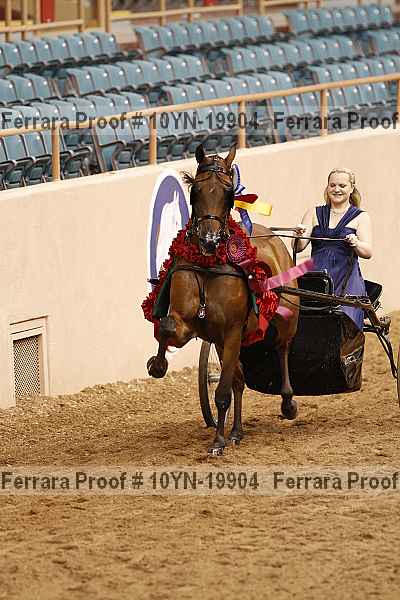 Proof 10yn-19904