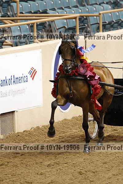 Proof 10yn-19906