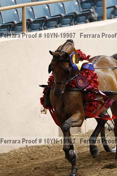 Proof 10yn-19907