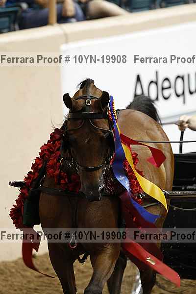 Proof 10yn-19908