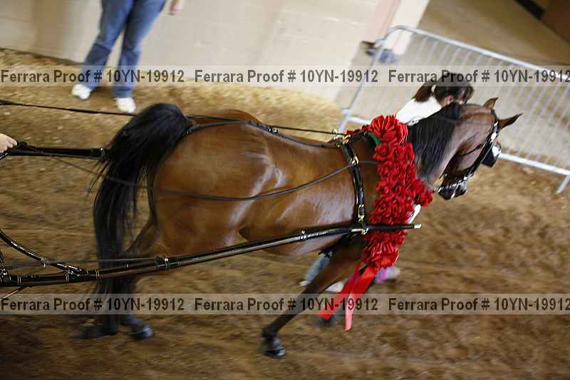 Proof 10yn-19912