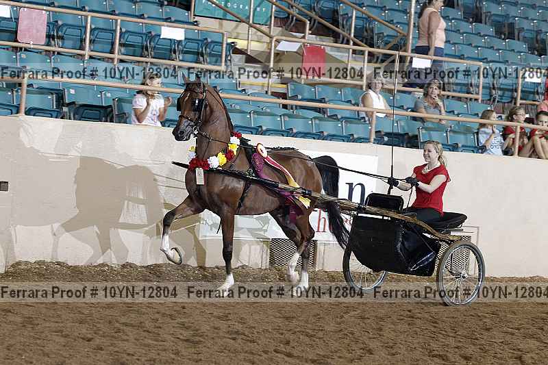 Proof 10yn-12804