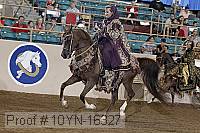 10yn-16327 proof