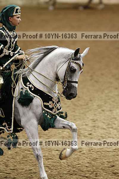 Proof 10yn-16363