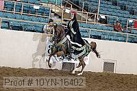 10yn-16402 proof