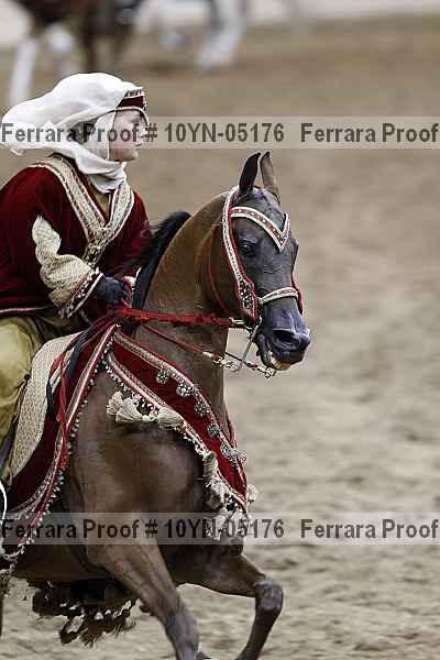 Proof 10yn-05176
