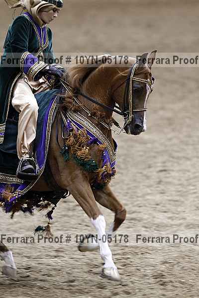Proof 10yn-05178