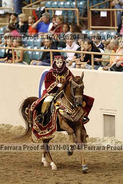 Proof 10yn-05204