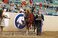 10yn-21682 proof