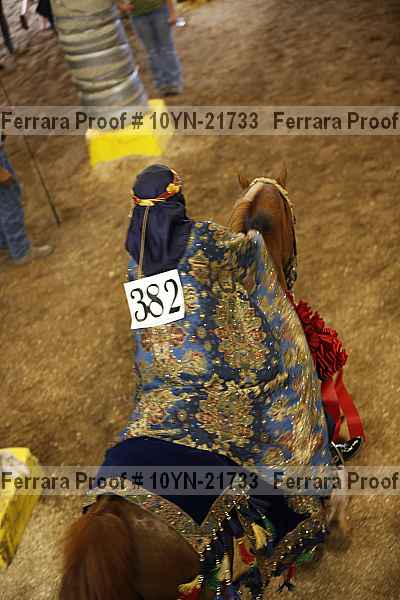 Proof 10yn-21733