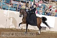 10yn-01390 proof
