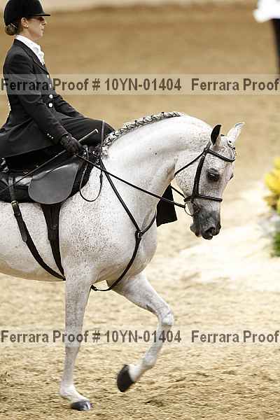 Proof 10yn-01404