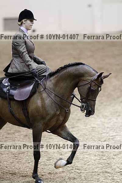 Proof 10yn-01407