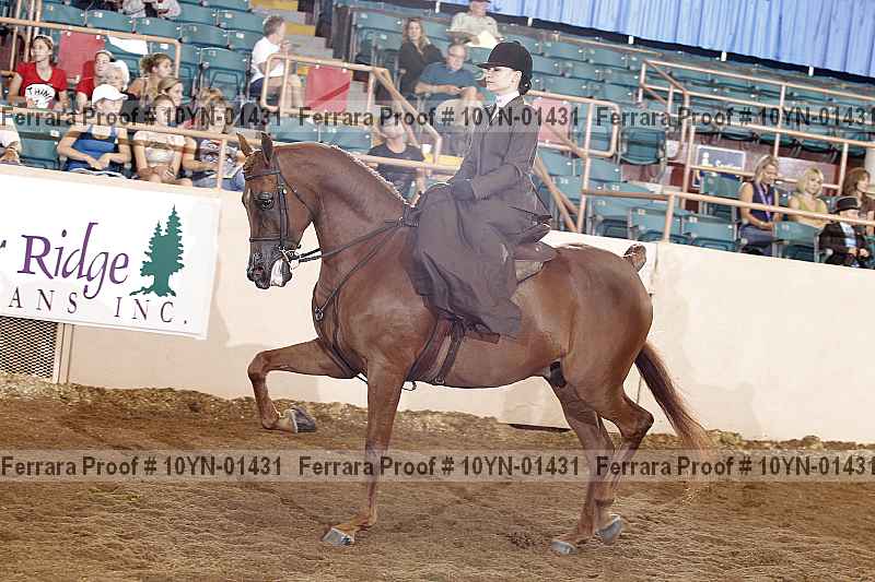 Proof 10yn-01431