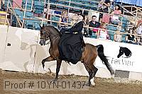 10yn-01437 proof