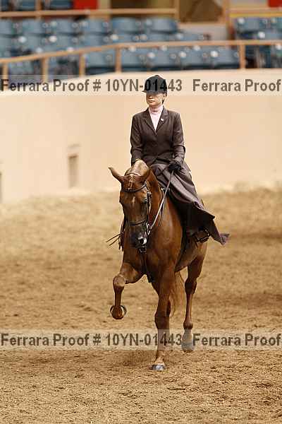 Proof 10yn-01443