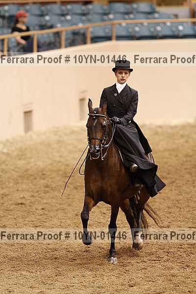 Proof 10yn-01446