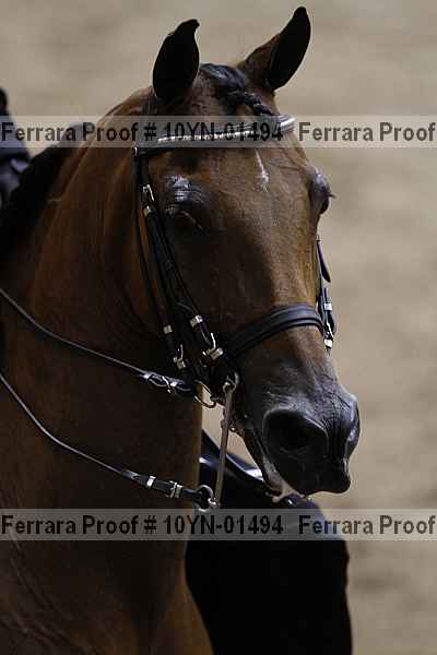 Proof 10yn-01494