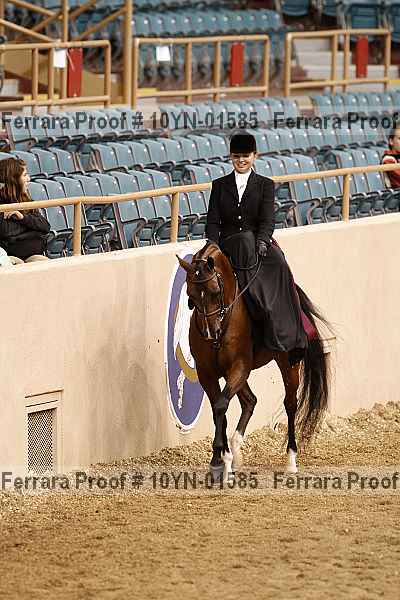 Proof 10yn-01585