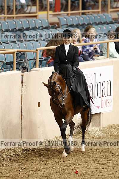Proof 10yn-01588