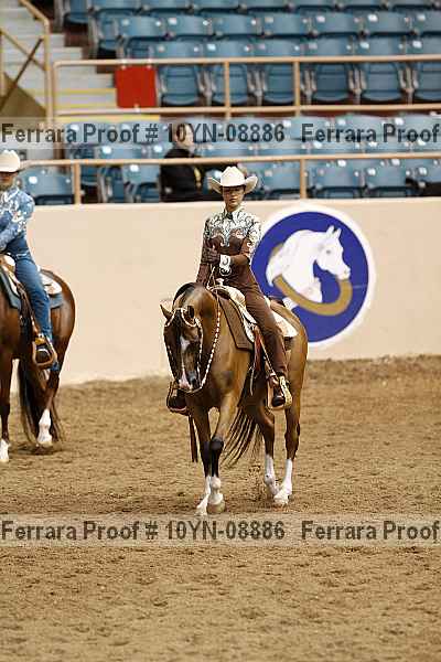 Proof 10yn-08886