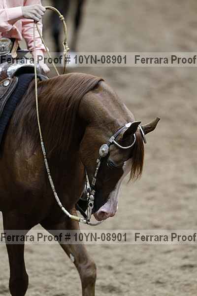 Proof 10yn-08901