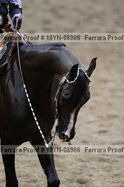 Proof 10yn-08906