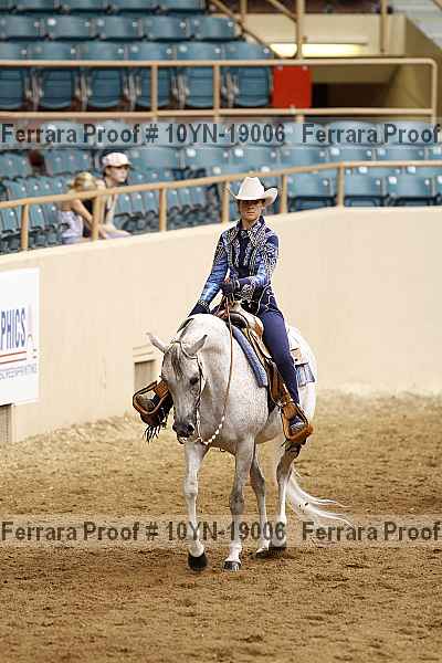 Proof 10yn-19006