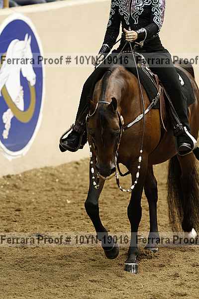 Proof 10yn-19016