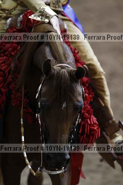 Proof 10yn-19139