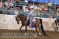 10yn-12827 proof