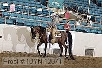 10yn-12871 proof