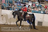 10yn-24212 proof