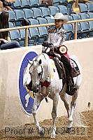 10yn-24312 proof