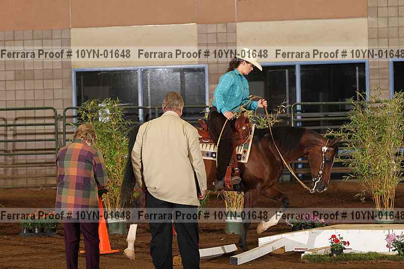 Proof 10yn-01648