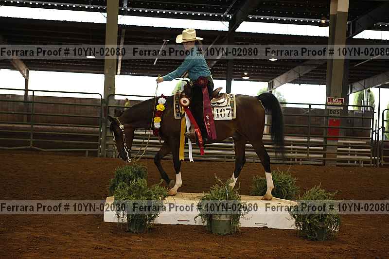 Proof 10yn-02080