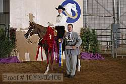 10yn-02106 proof