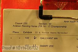 10yn-08702 proof