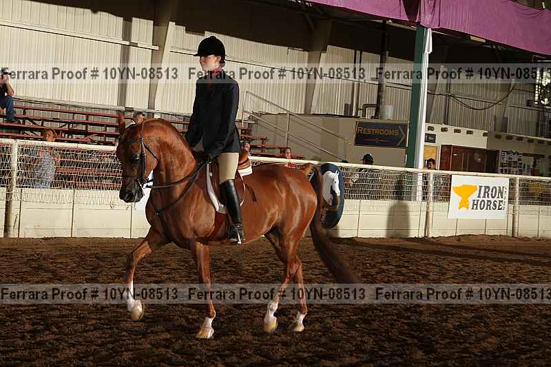 Proof 10yn-08513
