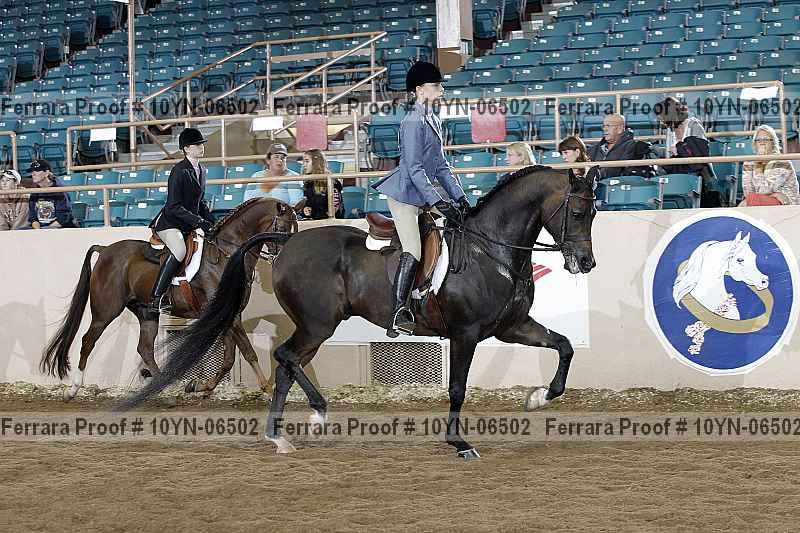 Proof 10yn-06502