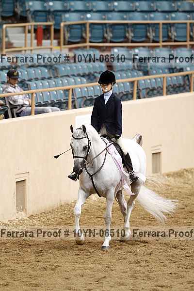 Proof 10yn-06510