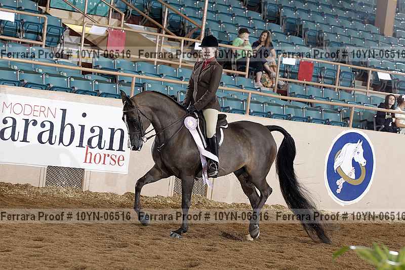 Proof 10yn-06516