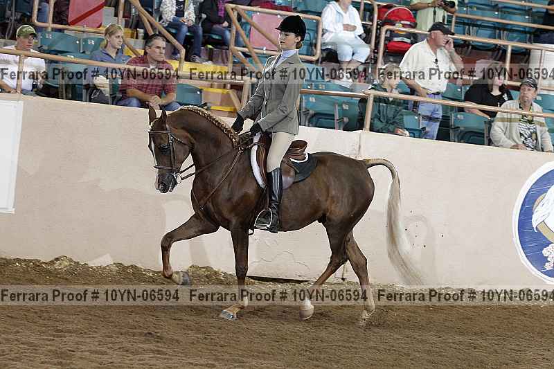 Proof 10yn-06594