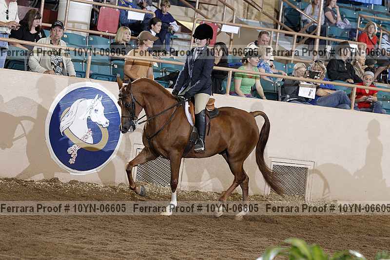 Proof 10yn-06605