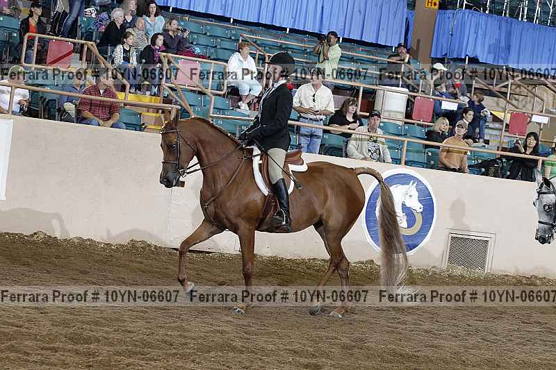 Proof 10yn-06607