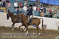 10yn-06614 proof